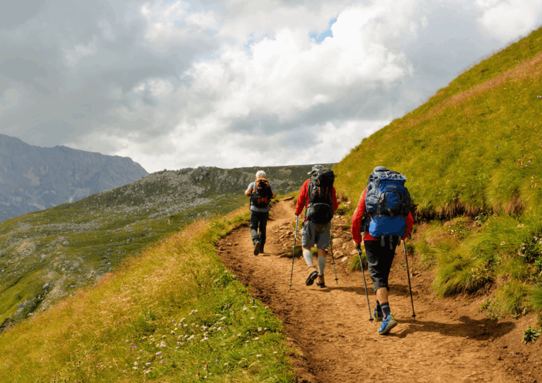 "Il Counseling a Mediazione Naturale"