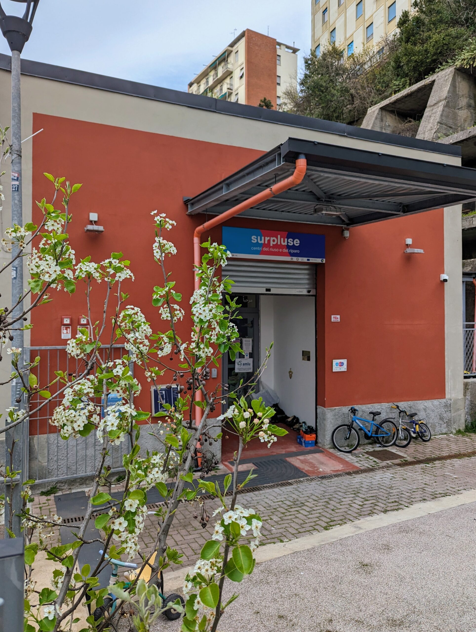 Festa dello Sbarazzo